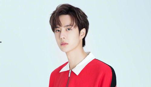 娱乐吃瓜酱男德的作品,揭秘男德作品中的趣味与深度