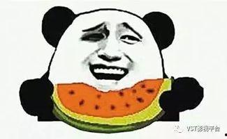 娱乐圈吃瓜爽文沙雕动画